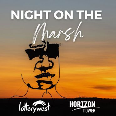 Night on the Marsh